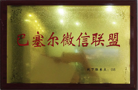 巴赛尔微信联盟