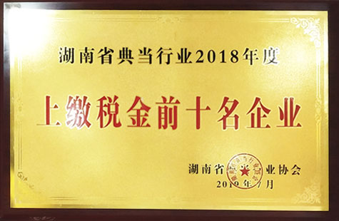 湖南省典当行业2018年度